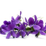Fragrant_oil _violets_&_roses